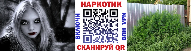Хочу наркоту Луховицы Бошки Шишки  Codein  ГАШ  Мефедрон  КОКАИН  АМФЕТАМИН 