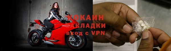 гидра Балахна