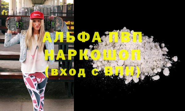 гидра Балахна
